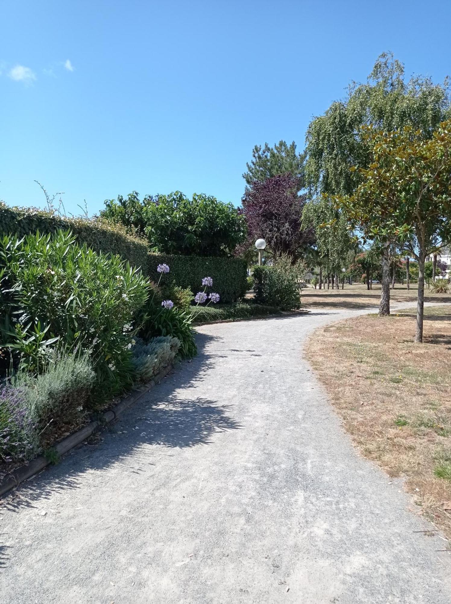 Cocon Moderne, Piscine, Parking, Proche Plage Guérande Dış mekan fotoğraf